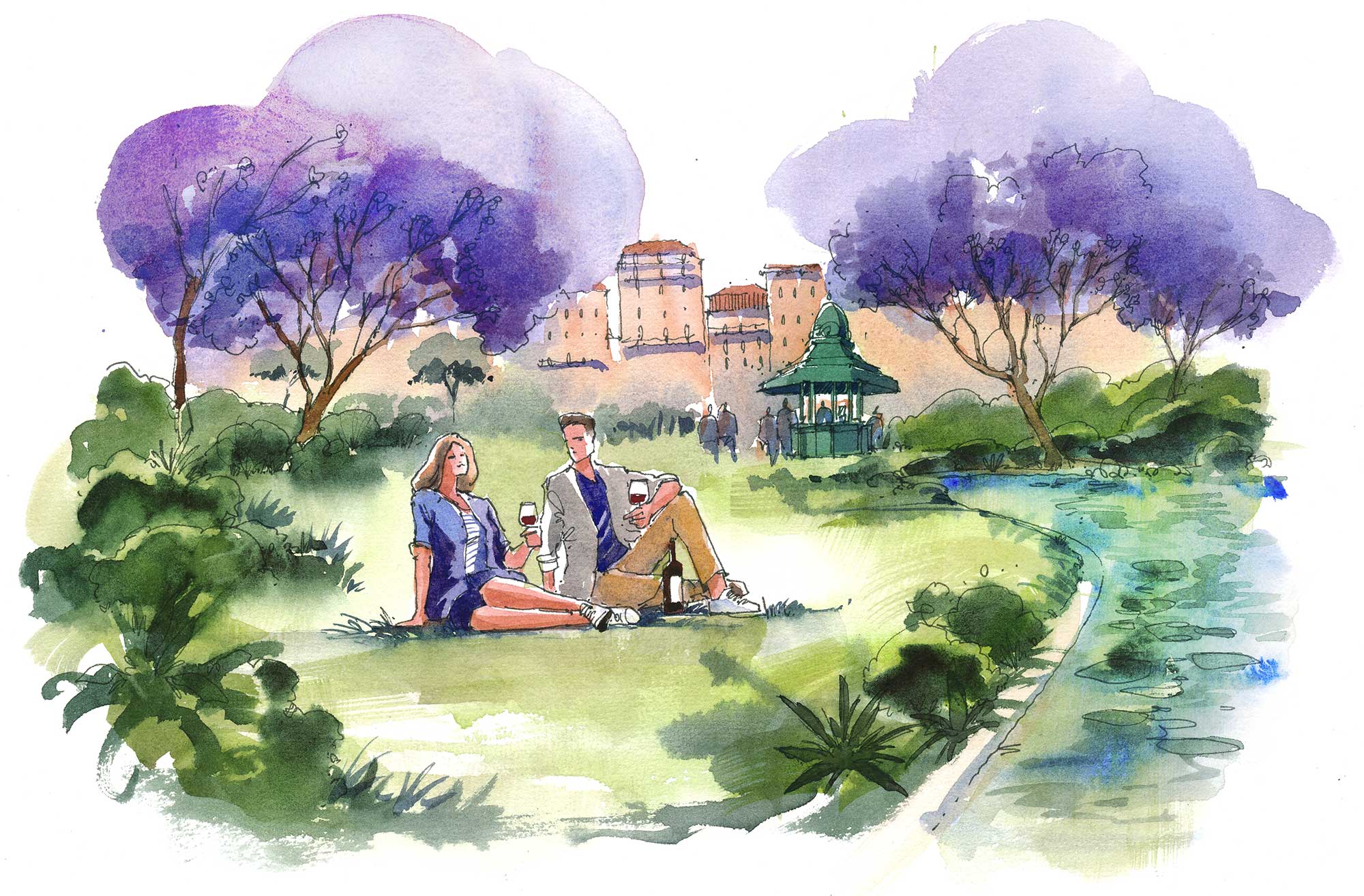 Jacarandas
